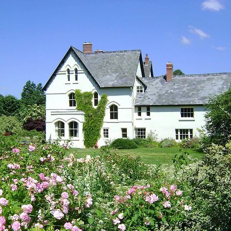The Forest Country House B&B Newtown  Exteriér fotografie
