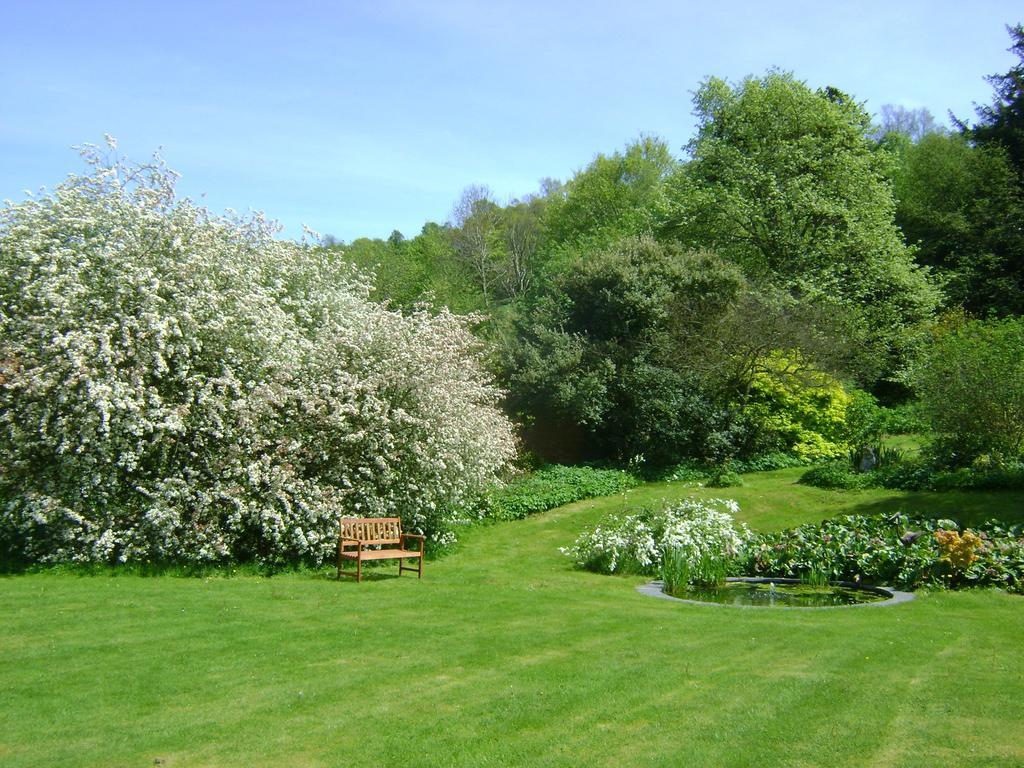 The Forest Country House B&B Newtown  Exteriér fotografie