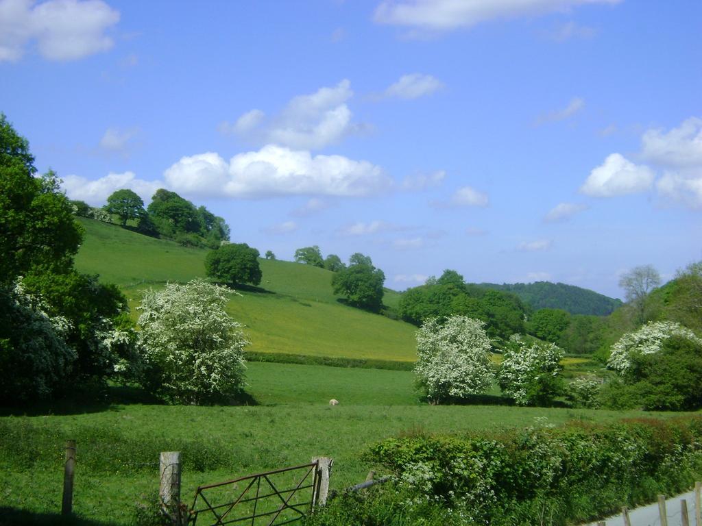 The Forest Country House B&B Newtown  Exteriér fotografie