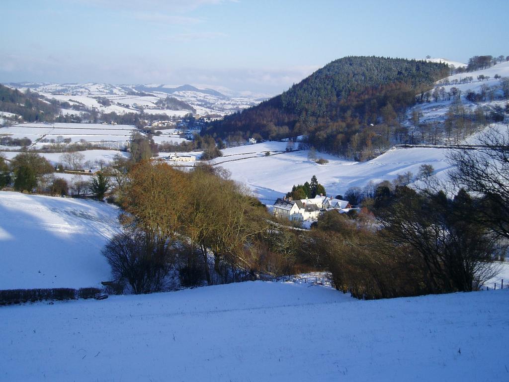 The Forest Country House B&B Newtown  Exteriér fotografie
