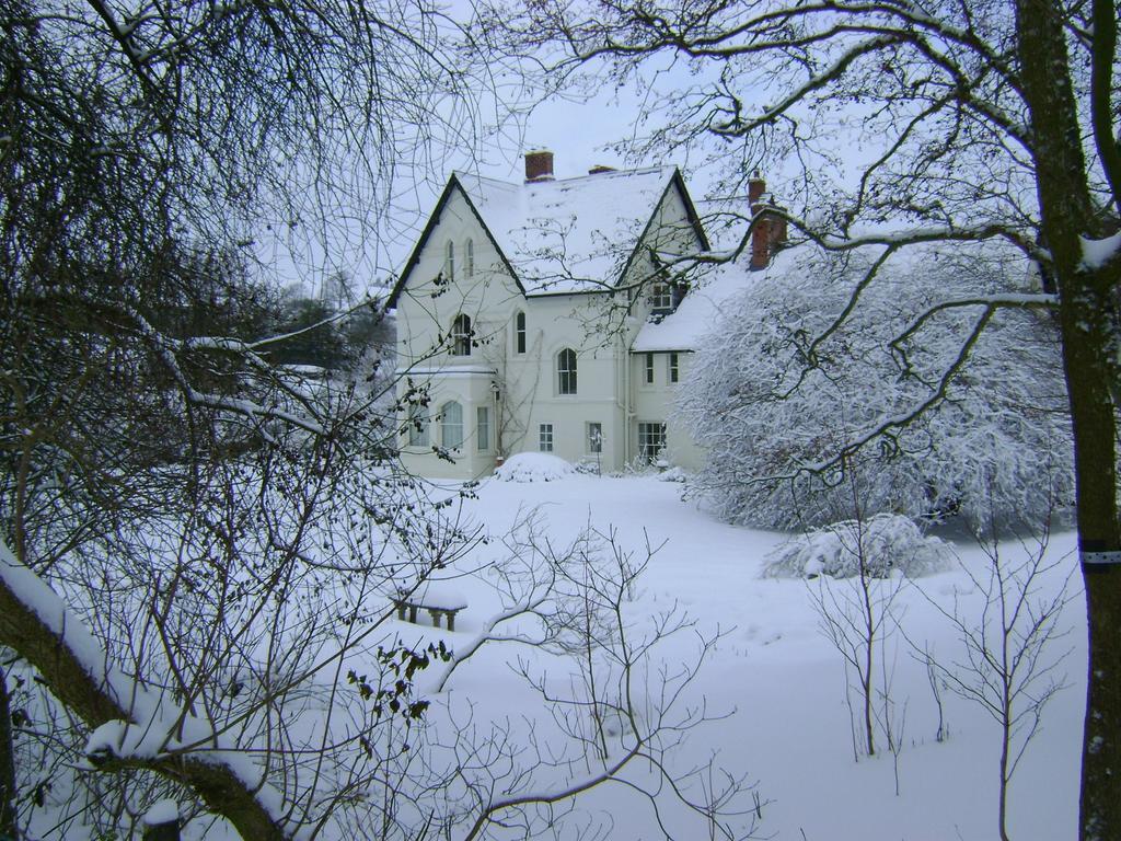 The Forest Country House B&B Newtown  Exteriér fotografie