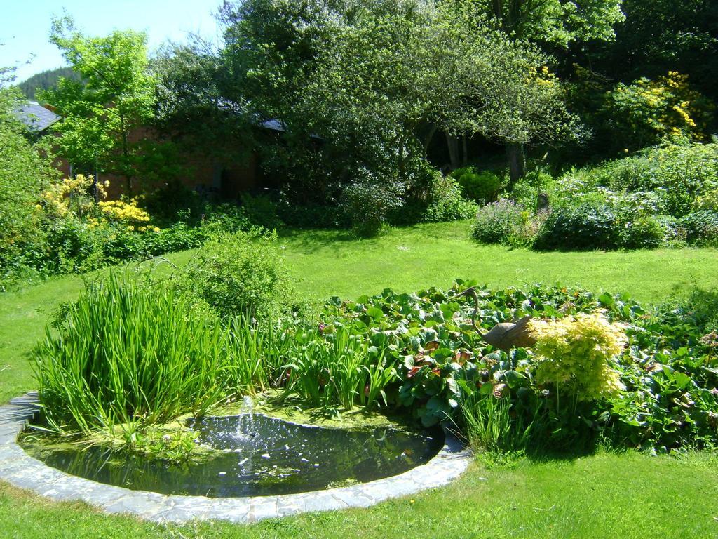 The Forest Country House B&B Newtown  Exteriér fotografie