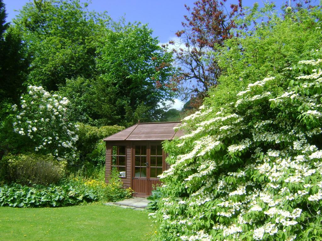 The Forest Country House B&B Newtown  Exteriér fotografie