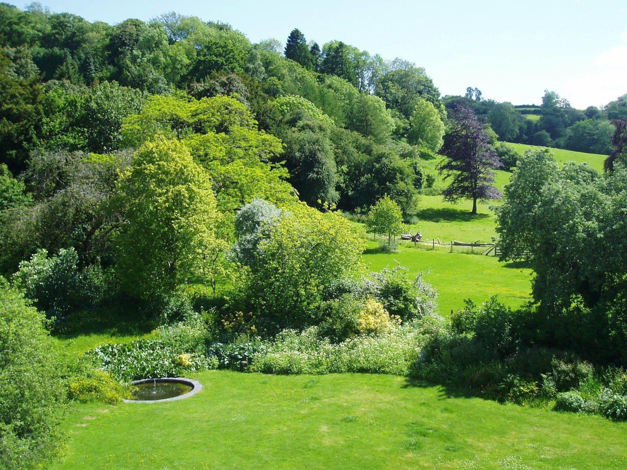 The Forest Country House B&B Newtown  Exteriér fotografie