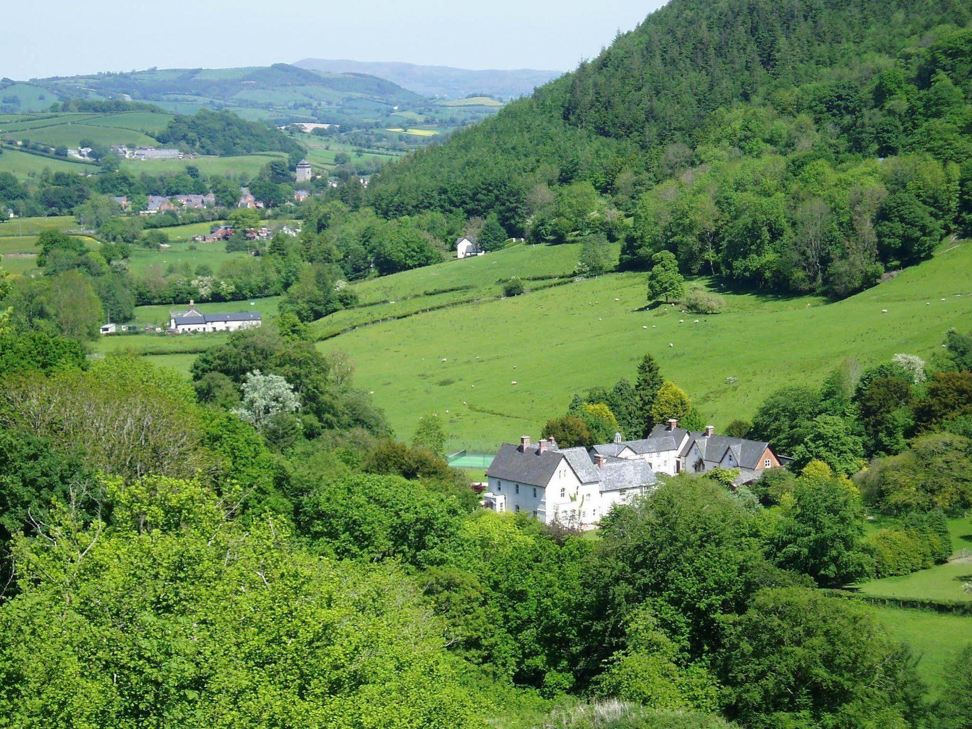 The Forest Country House B&B Newtown  Exteriér fotografie