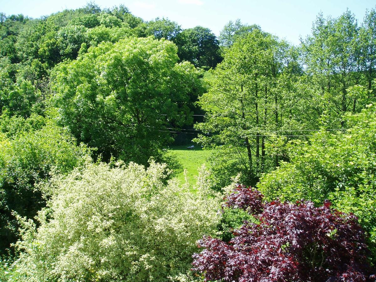 The Forest Country House B&B Newtown  Exteriér fotografie